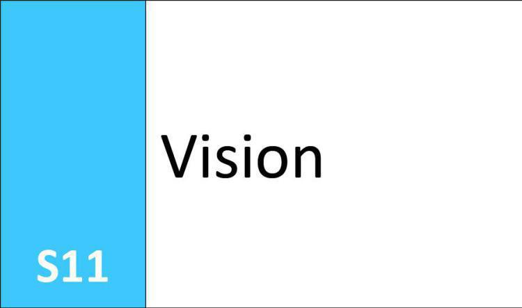 S11 Vision