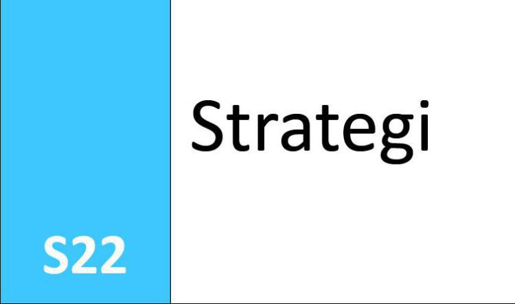 S22 Strategi