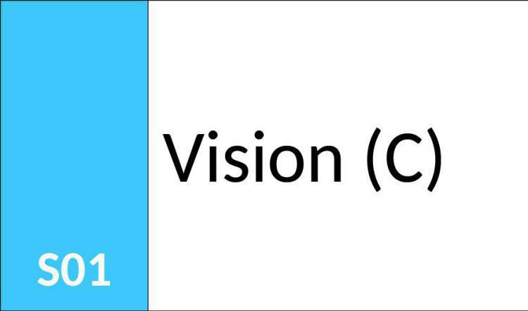 S01 Vision (C)