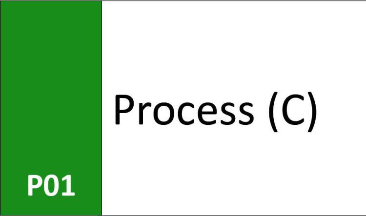 P01 Process (C)