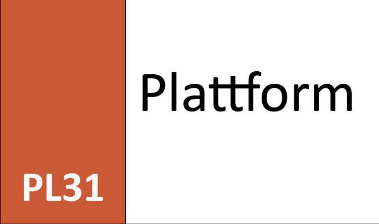 PL31 Plattform