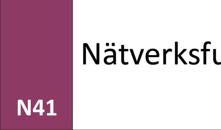 N41 Nätverksfunktion