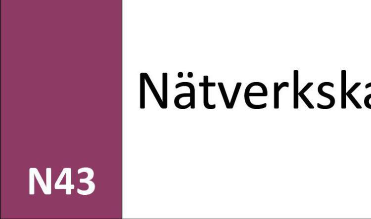 N43 Nätverkskanal