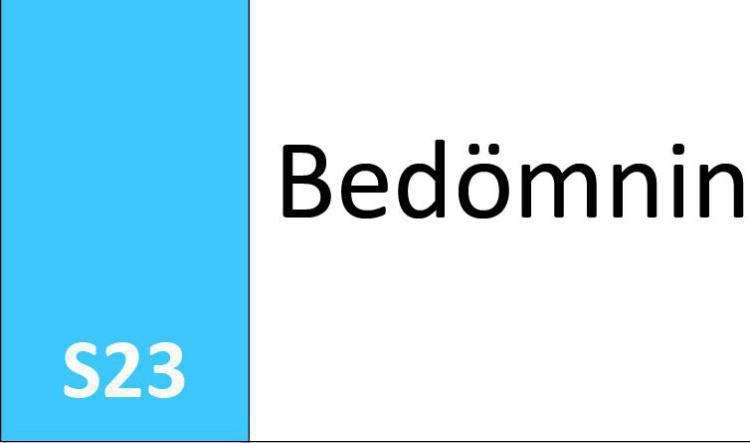 S23 Bedömning