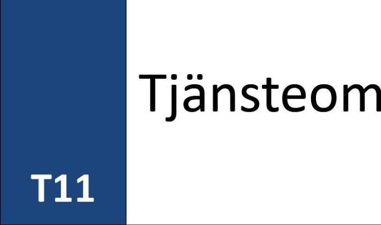 T11 Tjänsteområde