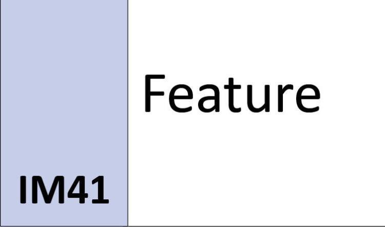 IM41 Feature