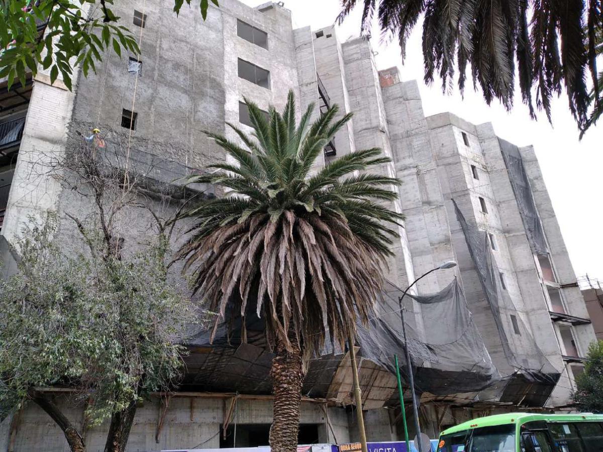 Albor Universidad