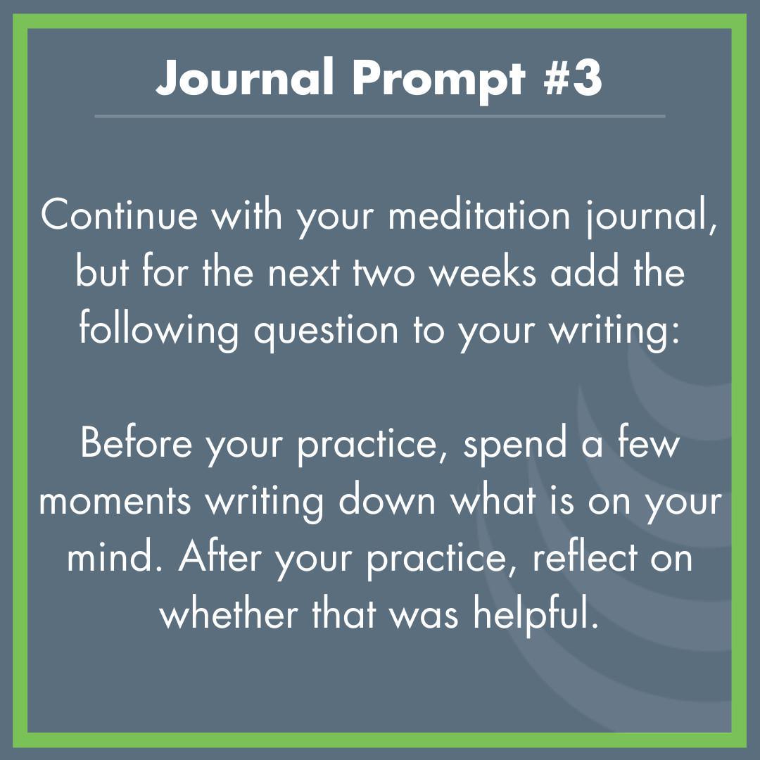 Journal Prompt #3