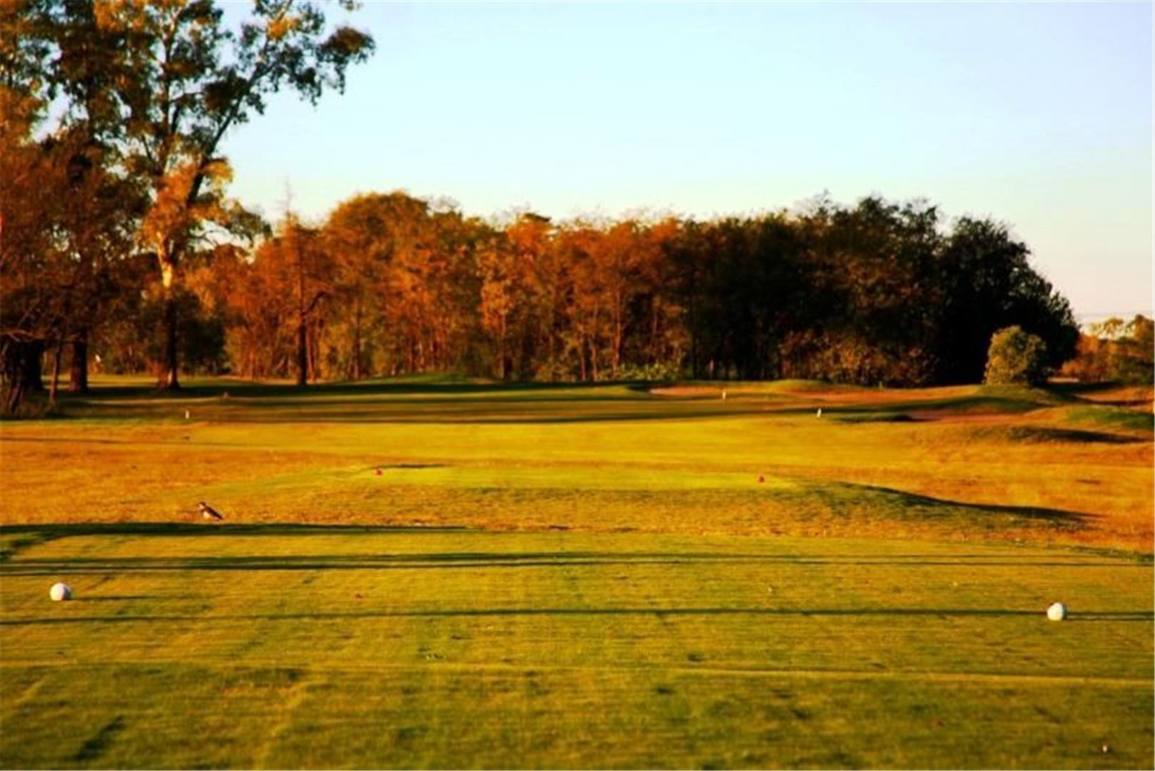Medal Country Club