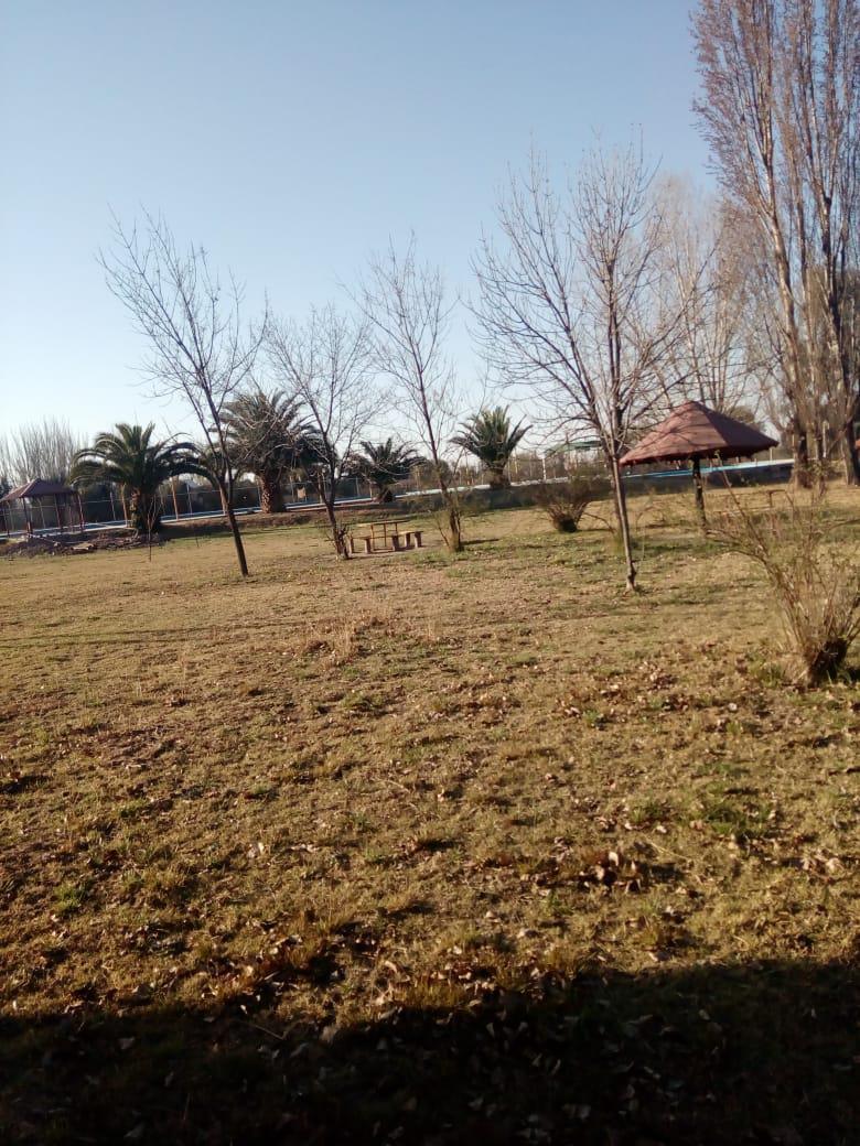 Camping Viñas Vieytes