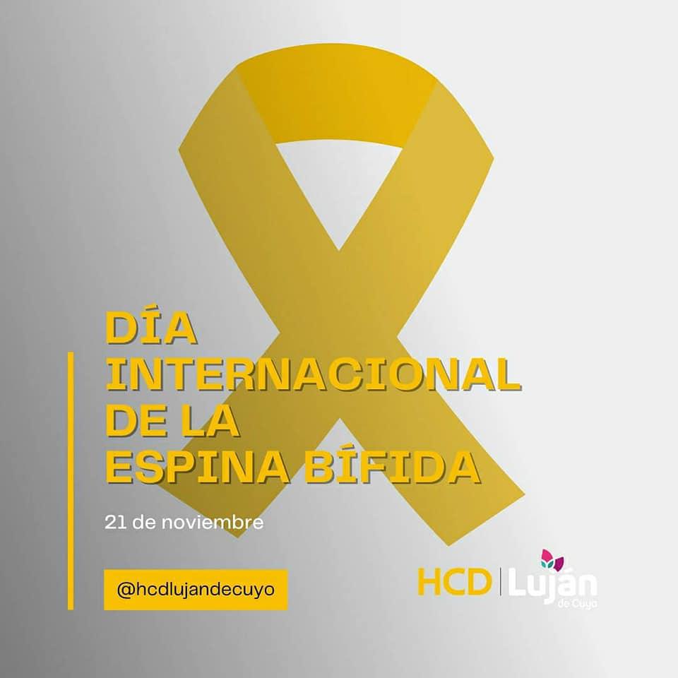 Luján: El HCD conmemoró el día internacional de la espina bífida