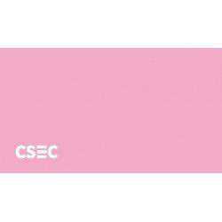 CSEC du 17 novembre 2021 - Déclaration liminaire CFDT
