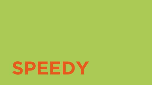 SPEEDY n°231