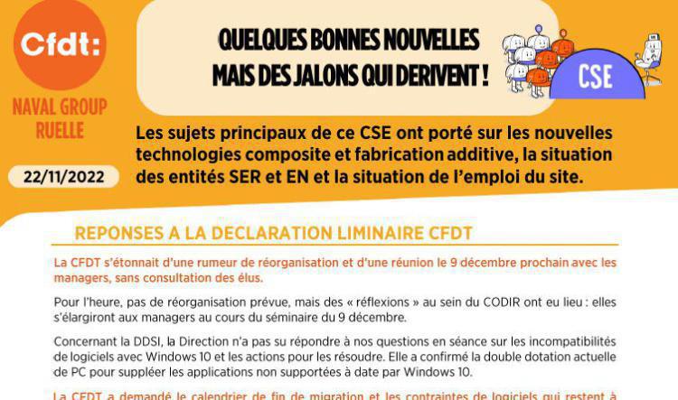 CR CSE de Ruelle du 17 novembre 2022