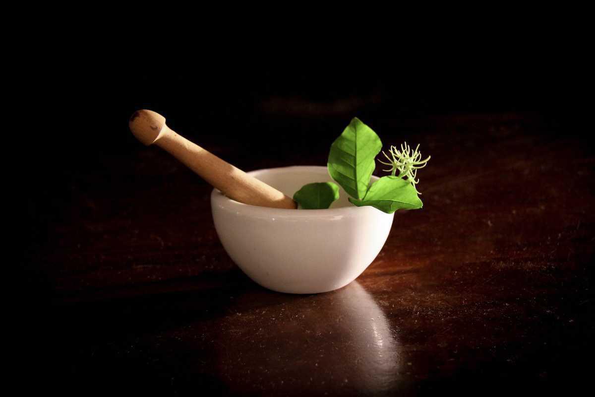 Qu'est-ce que la phytothérapie ? 
