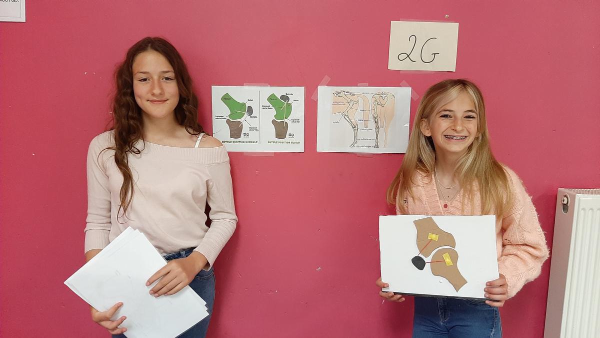 Les sciences et le programme scolaire Les sciences et le programme scolaire