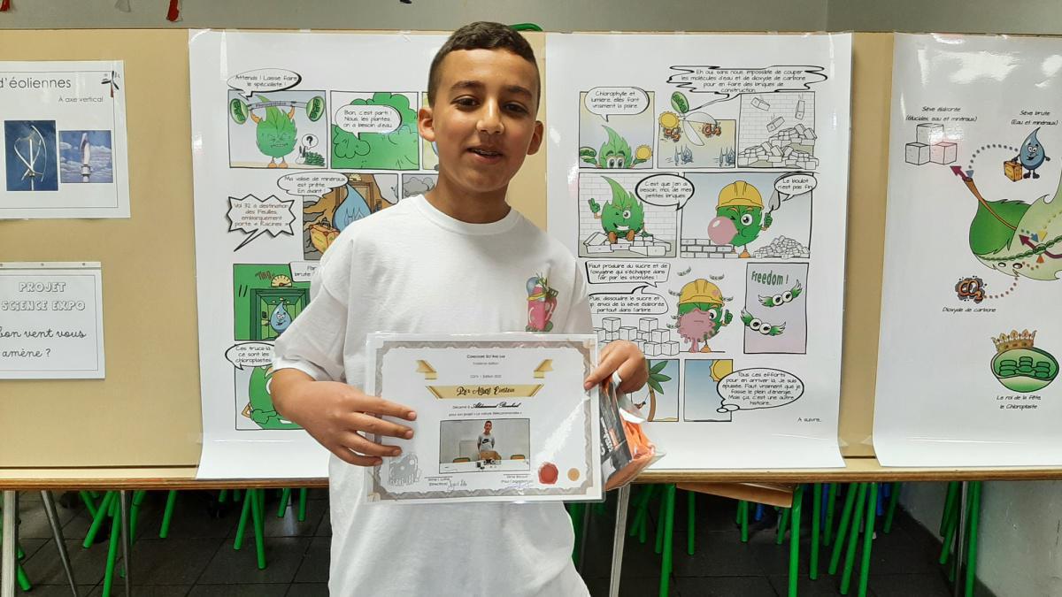 Les sciences et le programme scolaire Les sciences et le programme scolaire