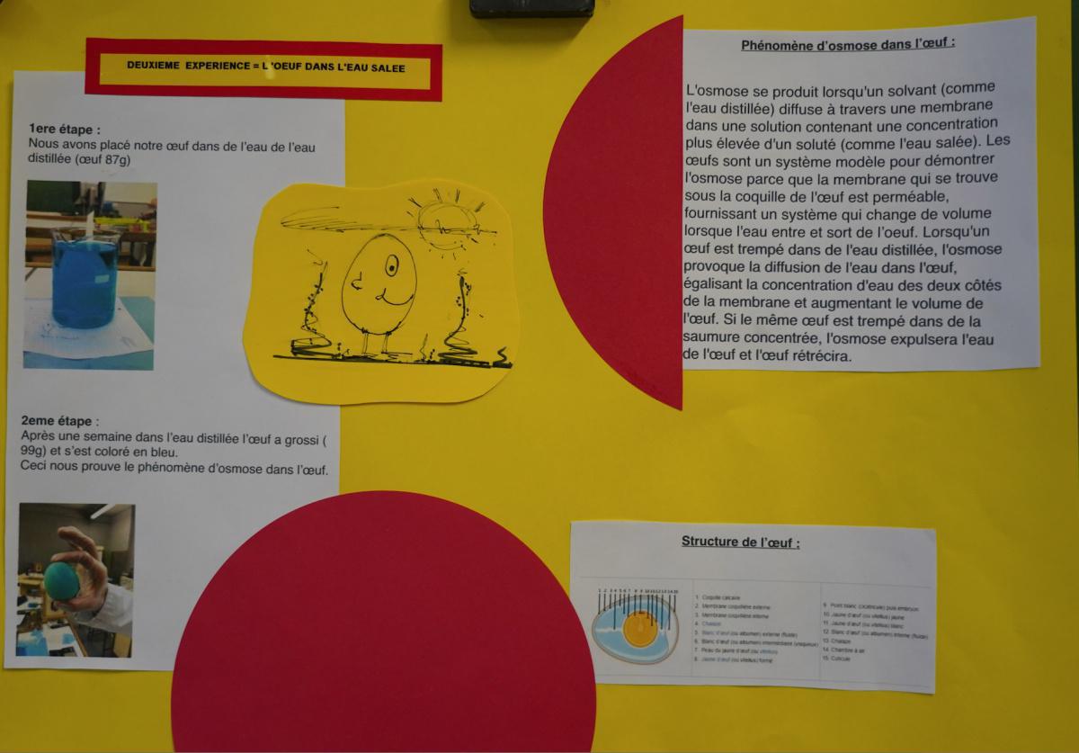 L'oeuf et ses secrets L'oeuf et ses secrets