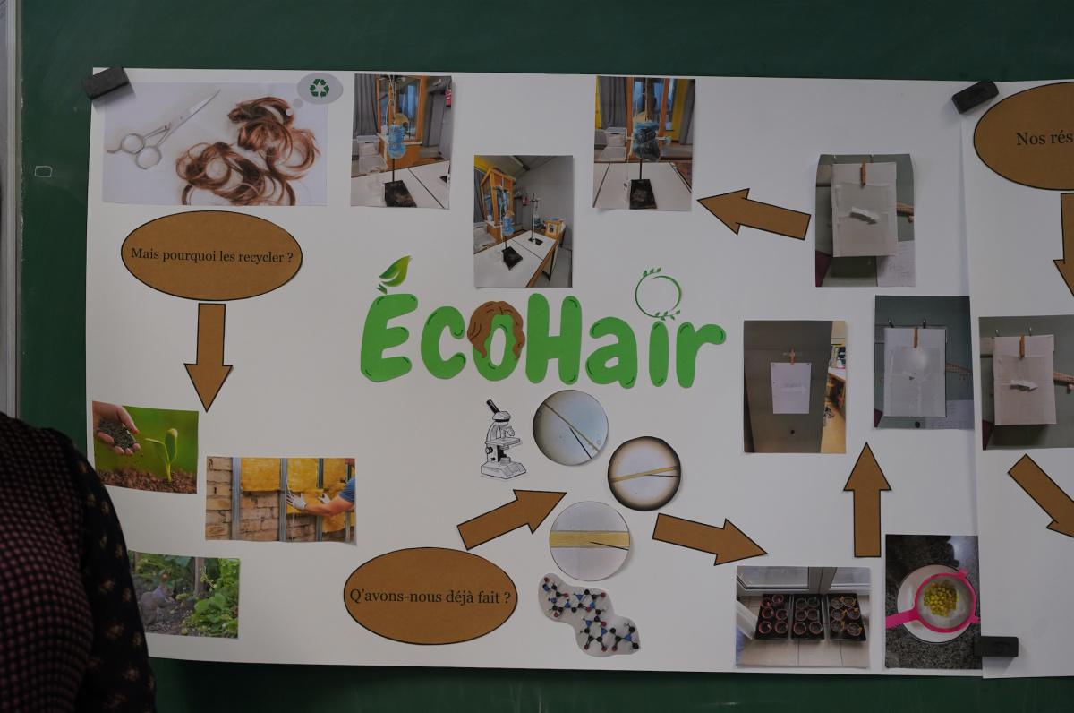 EcoHair EcoHair