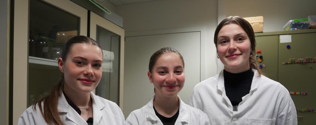 Les cristaux... Quels bijoux ! Les cristaux... Quels bijoux !