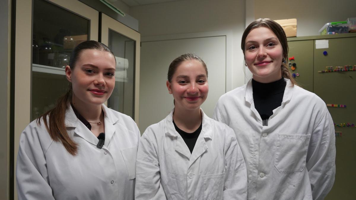 Les cristaux... Quels bijoux ! Les cristaux... Quels bijoux !