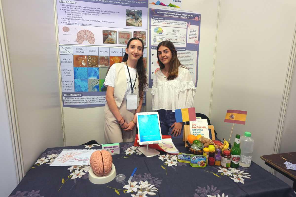 Notre cerveau et notre mode de vie : comment sont-ils liés ? Notre cerveau et notre mode de vie : comment sont-ils liés ?