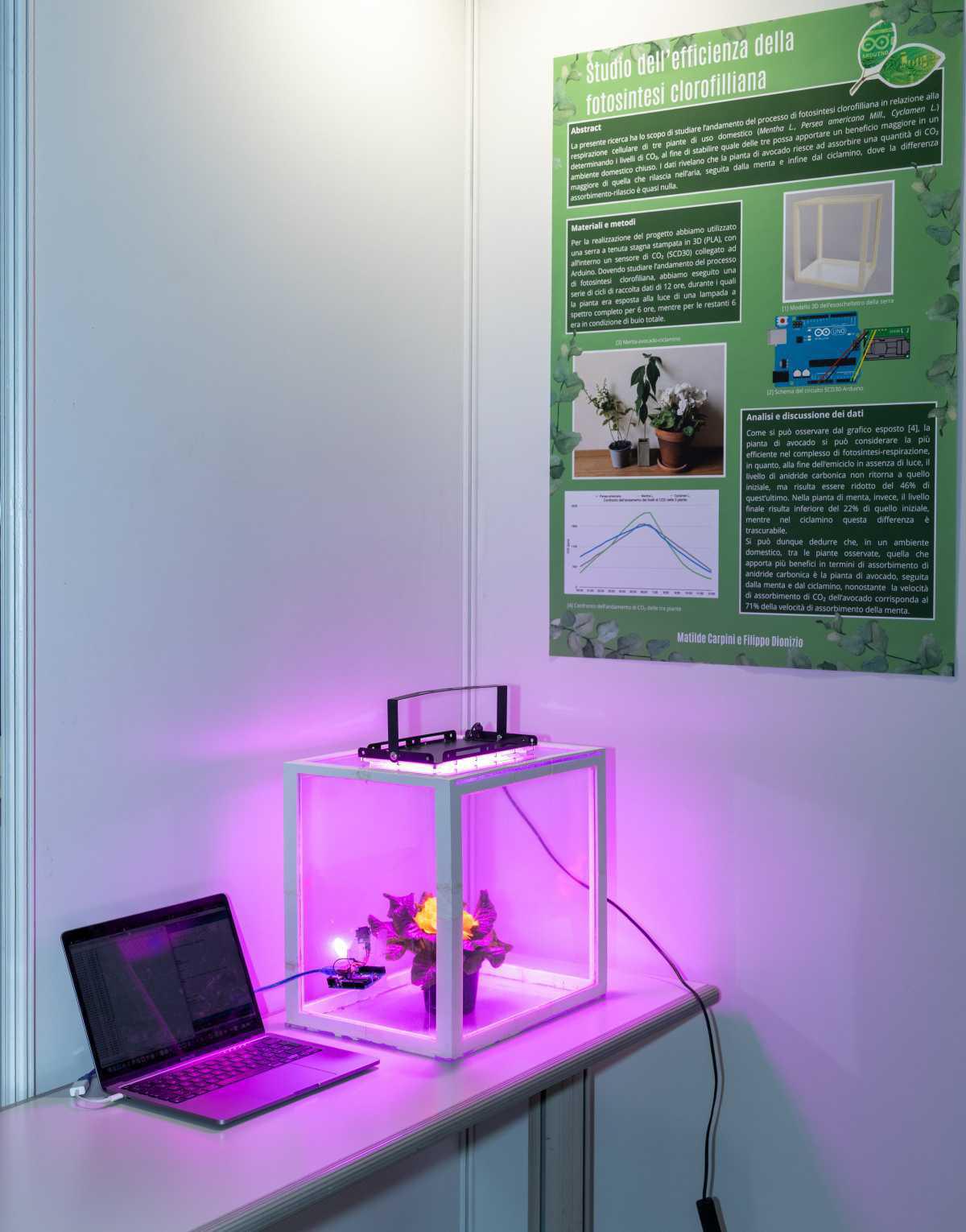 Efficienza del processo di fotosintesi clorofilliana di tre piante Efficienza del processo di fotosintesi clorofilliana di tre piante
