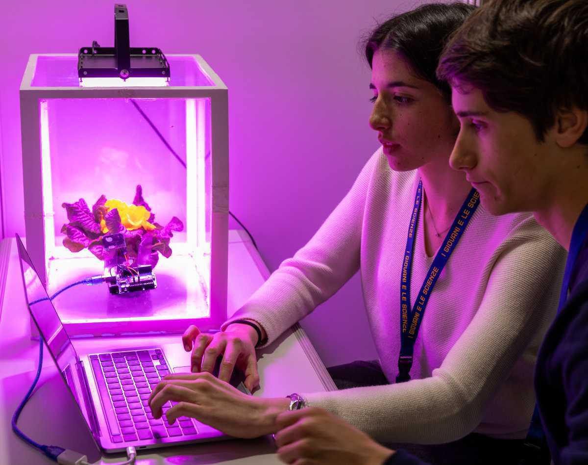 Efficienza del processo di fotosintesi clorofilliana di tre piante Efficienza del processo di fotosintesi clorofilliana di tre piante