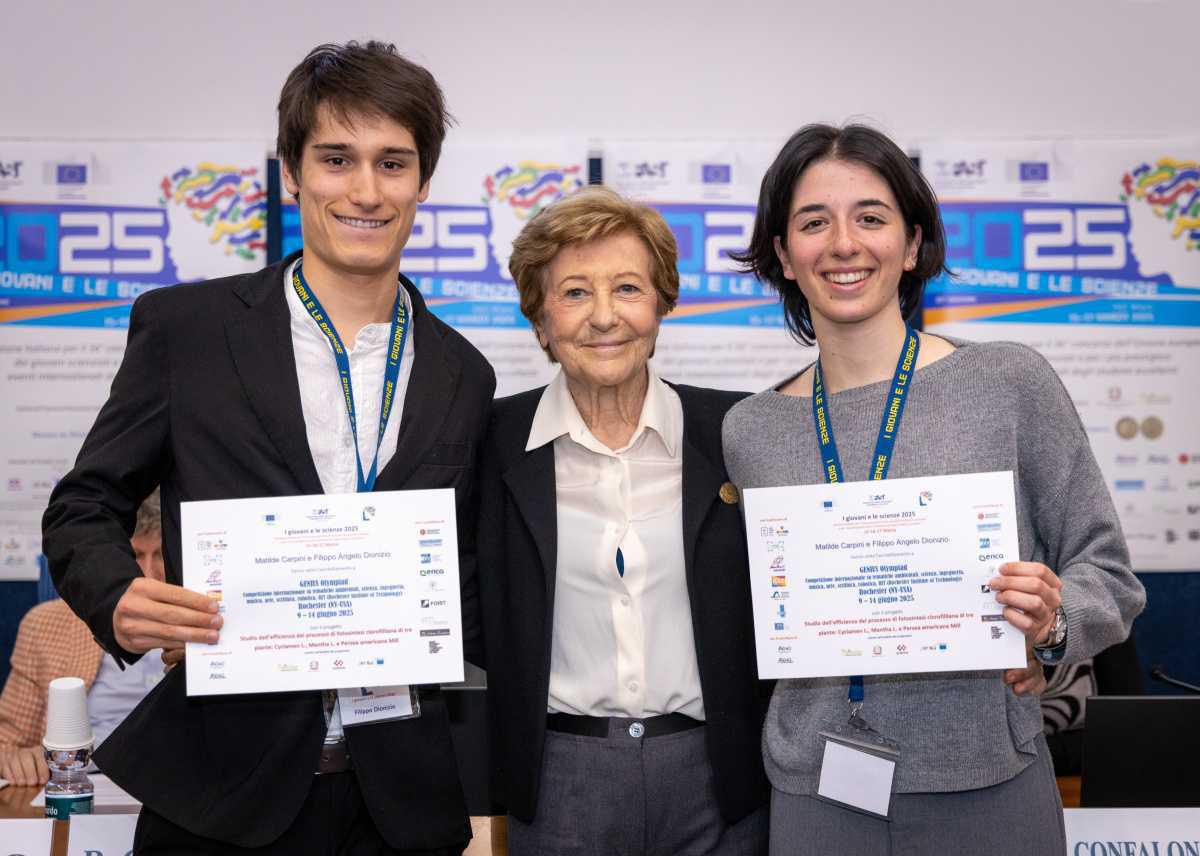 Efficienza del processo di fotosintesi clorofilliana di tre piante Efficienza del processo di fotosintesi clorofilliana di tre piante