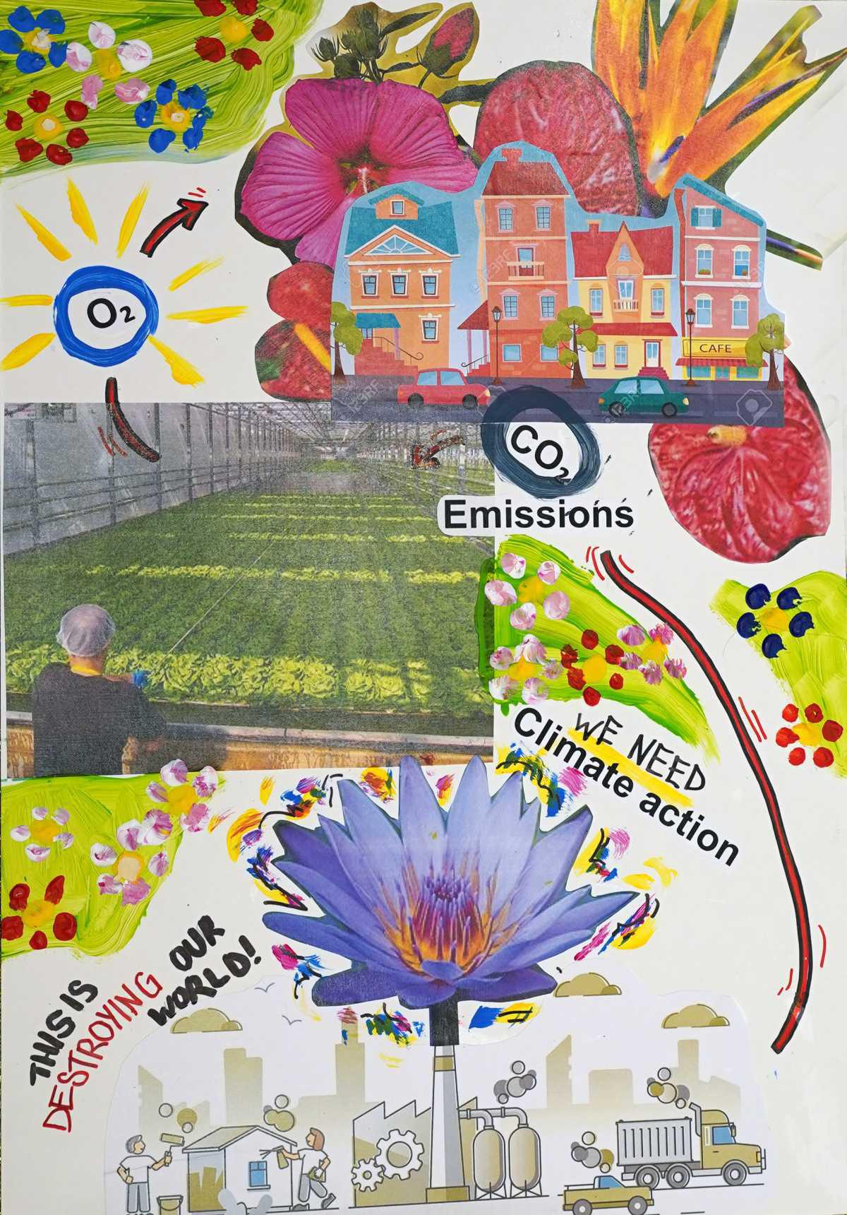 Efficienza del processo di fotosintesi clorofilliana di tre piante Efficienza del processo di fotosintesi clorofilliana di tre piante