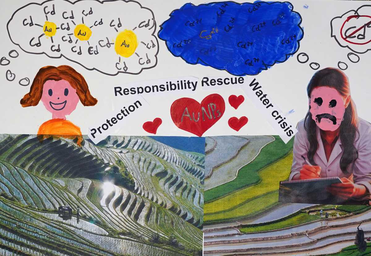 Z48-EcoScan: nano-sensori per salvare le risaie dal cadmio Z48-EcoScan: nano-sensori per salvare le risaie dal cadmio