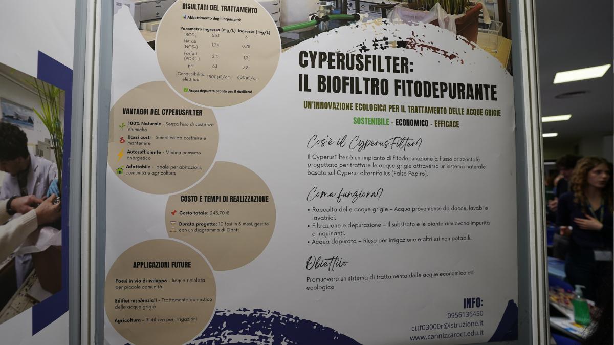 CyperusFilter: il biofiltro fitodepurante