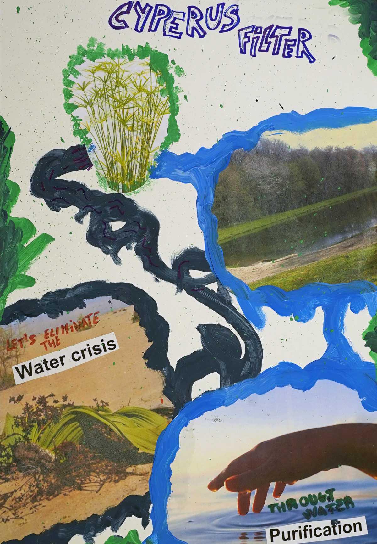 CyperusFilter: il biofiltro fitodepurante CyperusFilter: il biofiltro fitodepurante