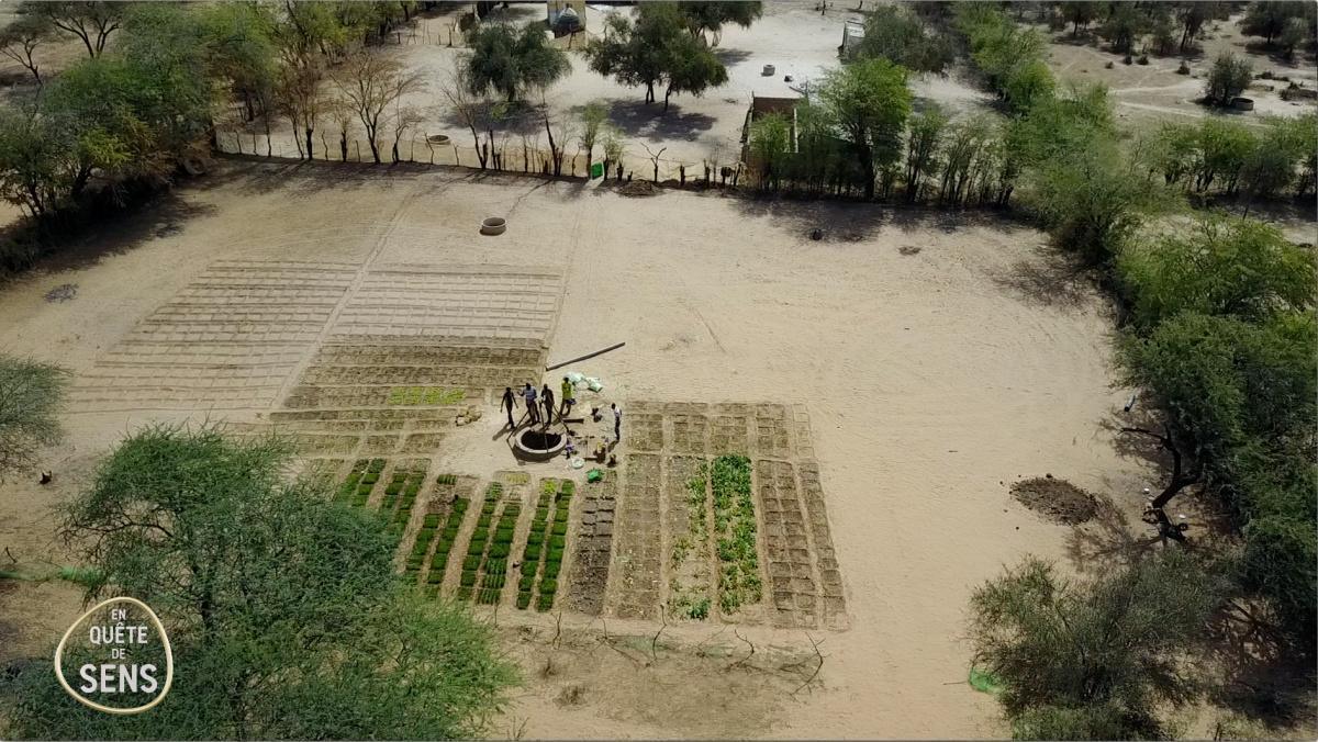 Agroécologie, les champs de demain