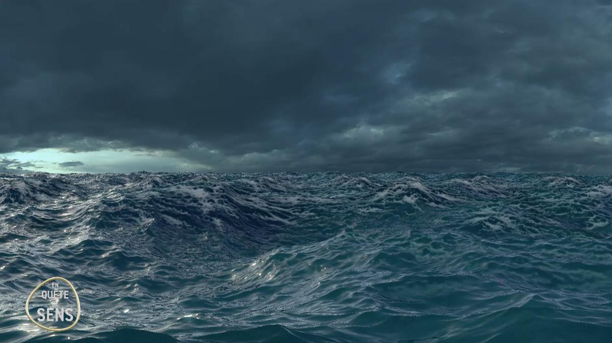 Un océan de plastique Un océan de plastique