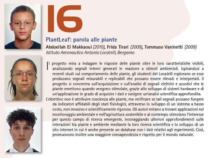 16. Plantleaf