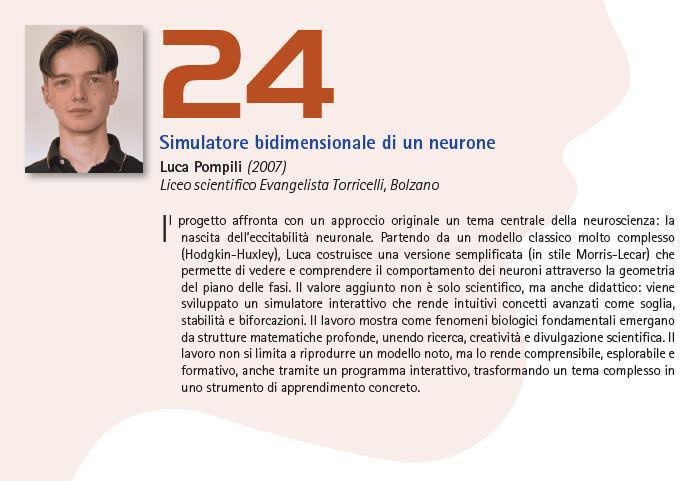 24. Simulatore bidimensionale di un neurone