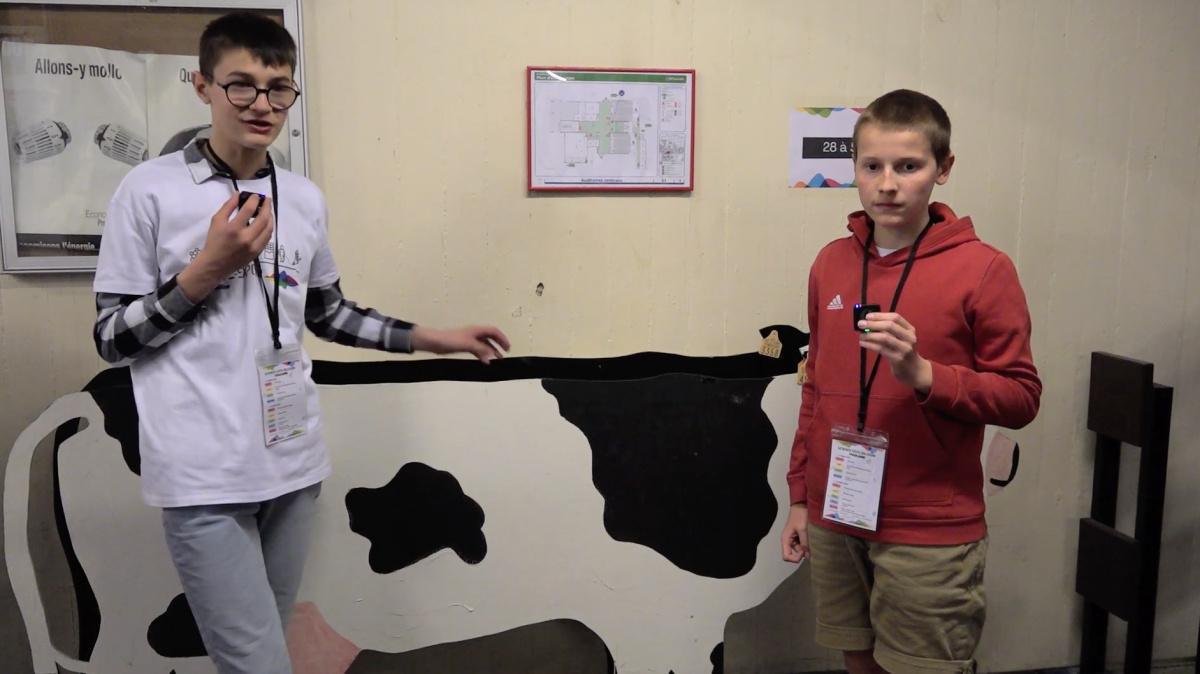 Projet 08: Trieur à graines