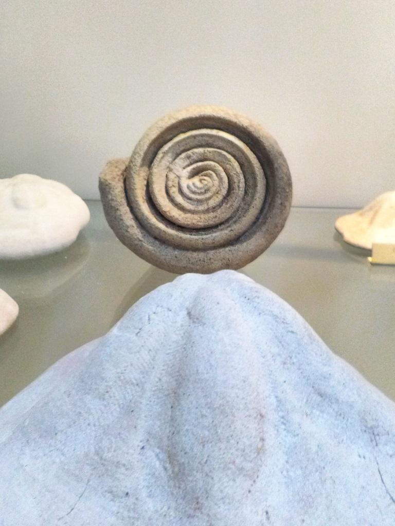 Museo di Paleontologia - Museum of Paleontology