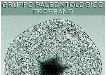 Museo di Paleontologia - Museum of Paleontology