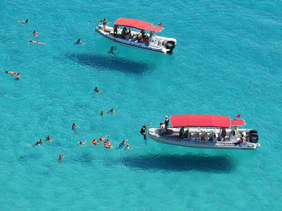 Snorkeling Tour - Noleggio Nautico Shark Bay