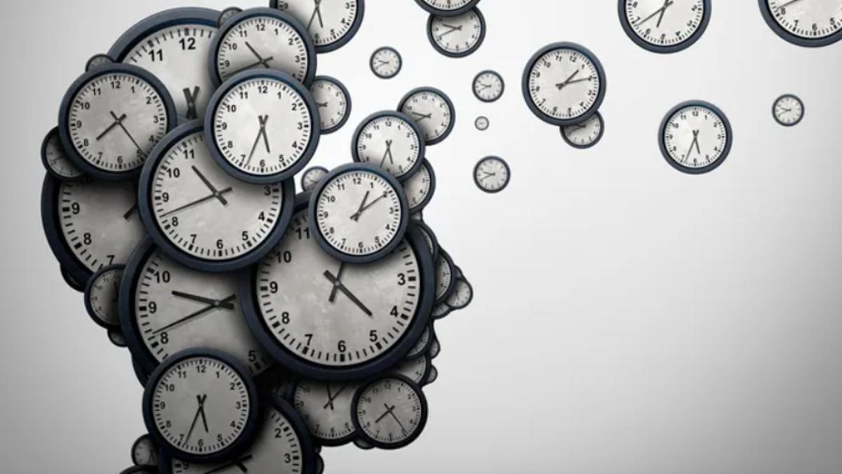 Rentrée Septembre 2021… Une reprise compromise par des puces - LE CASSE TÊTE DES COMPTEURS TEMPS Rentrée Septembre 2021… Une reprise compromise par des puces - LE CASSE TÊTE DES COMPTEURS TEMPS