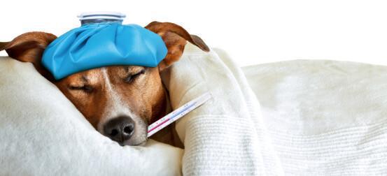 RÉGULARISATION DES CONGÉS PAYÉS PENDANT ARRÊT MALADIE