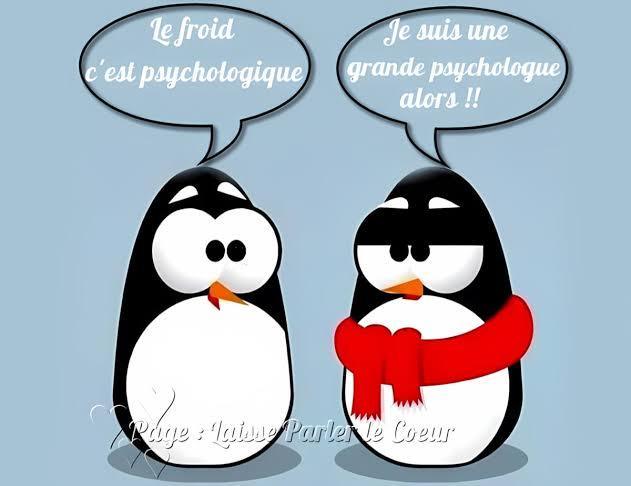 LE FROID ENTRE, LES SALARIES TRINQUENT