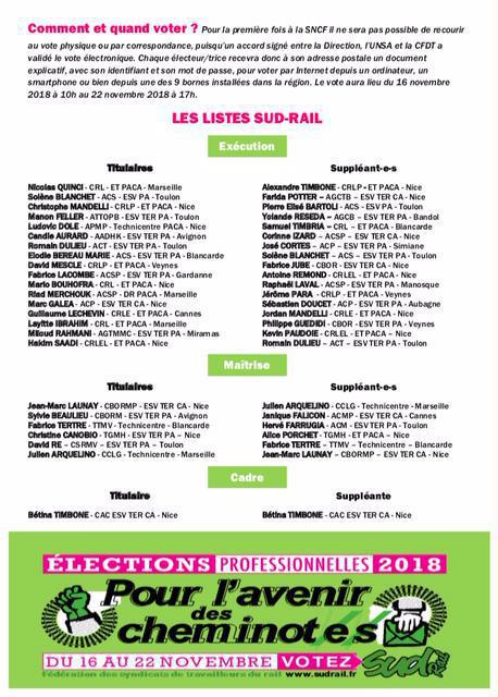 Election pour le CSE TER PACA