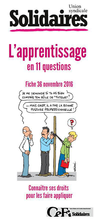 L’apprentissage en 11 questions L’apprentissage en 11 questions