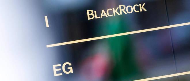 « Un renard dans le poulailler » : quand BlackRock devient conseiller environnement de l'UE « Un renard dans le poulailler » : quand BlackRock devient conseiller environnement de l'UE