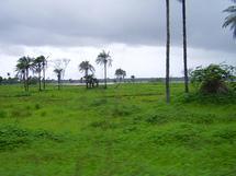 Casamance