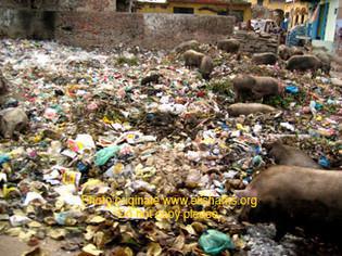 Photo: elishams.org
