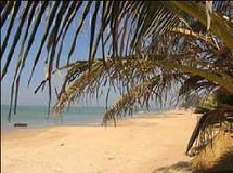 Saly - prostitution masculine: Quand le gigolo "vend" sa libido